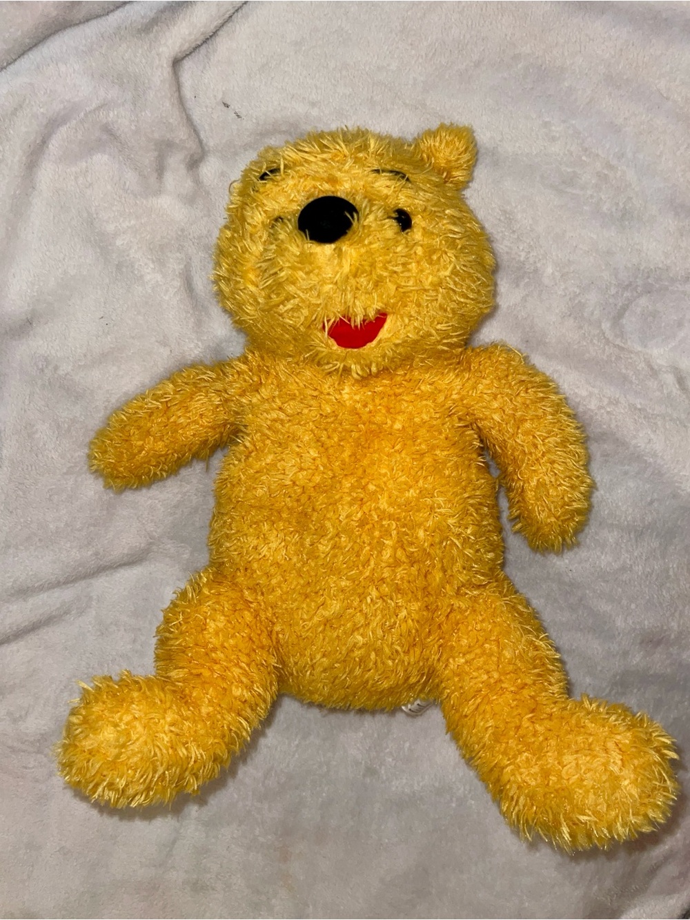 Disney Parks Winnie The Pooh Plush Bear Shaggy Fuzzy Cuddler